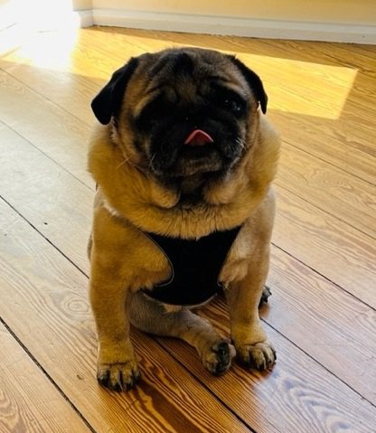 Foto Zufriedenheitsgarantie