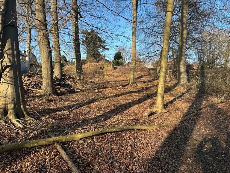 Ansicht B�chen Wohngrundst�ck Erf�llen Sie sich Ihren Wohntraum - gro�es Baugrundst�ck in der Natur - B�chen