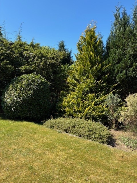 Garten Bungalow M�lln