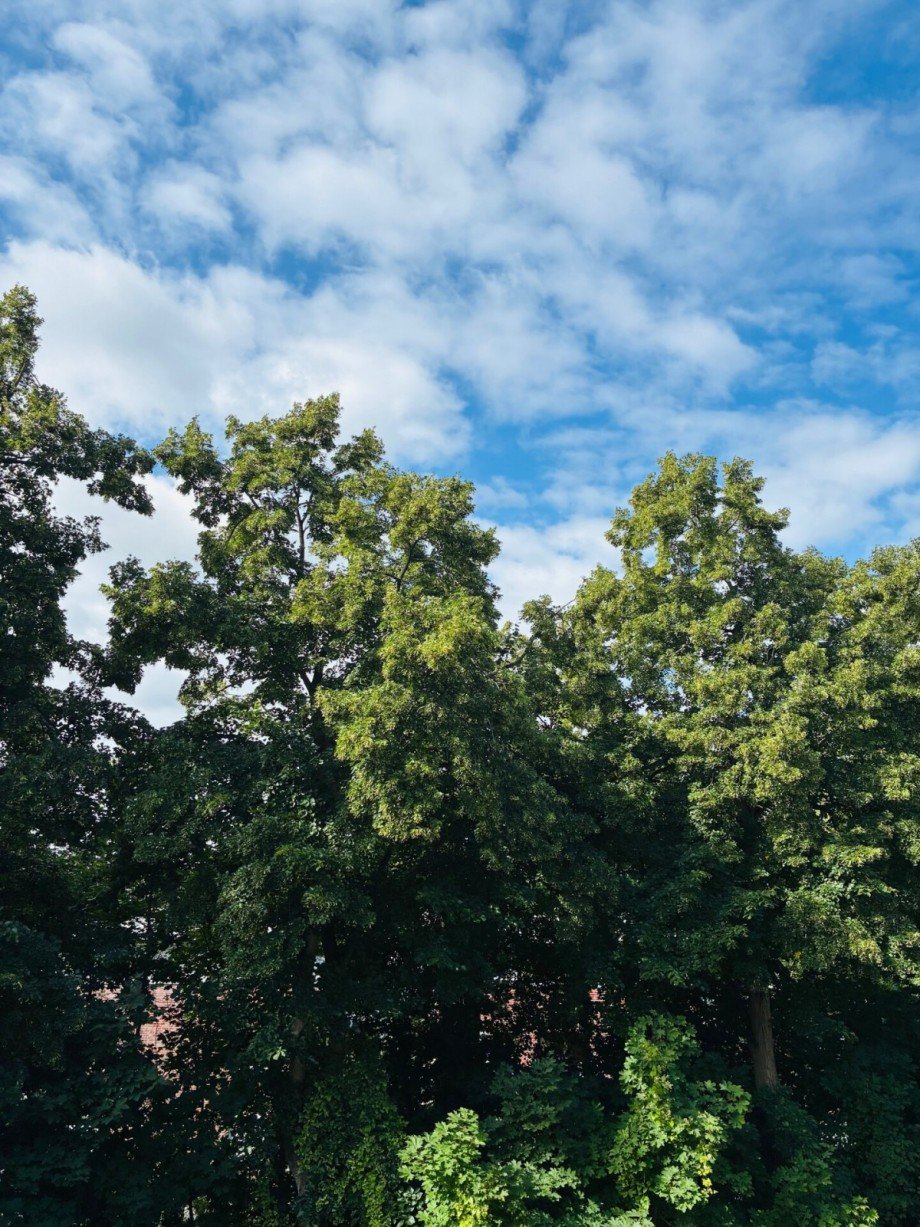 Blick von Loggia Etagenwohnung M�lln