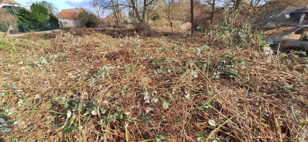 Ansicht Wohngrundst�ck B�chen