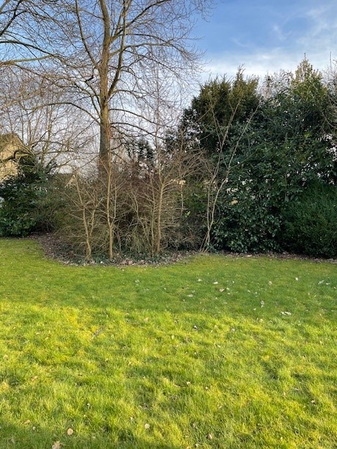 Garten Einfamilienhaus S�lfeld