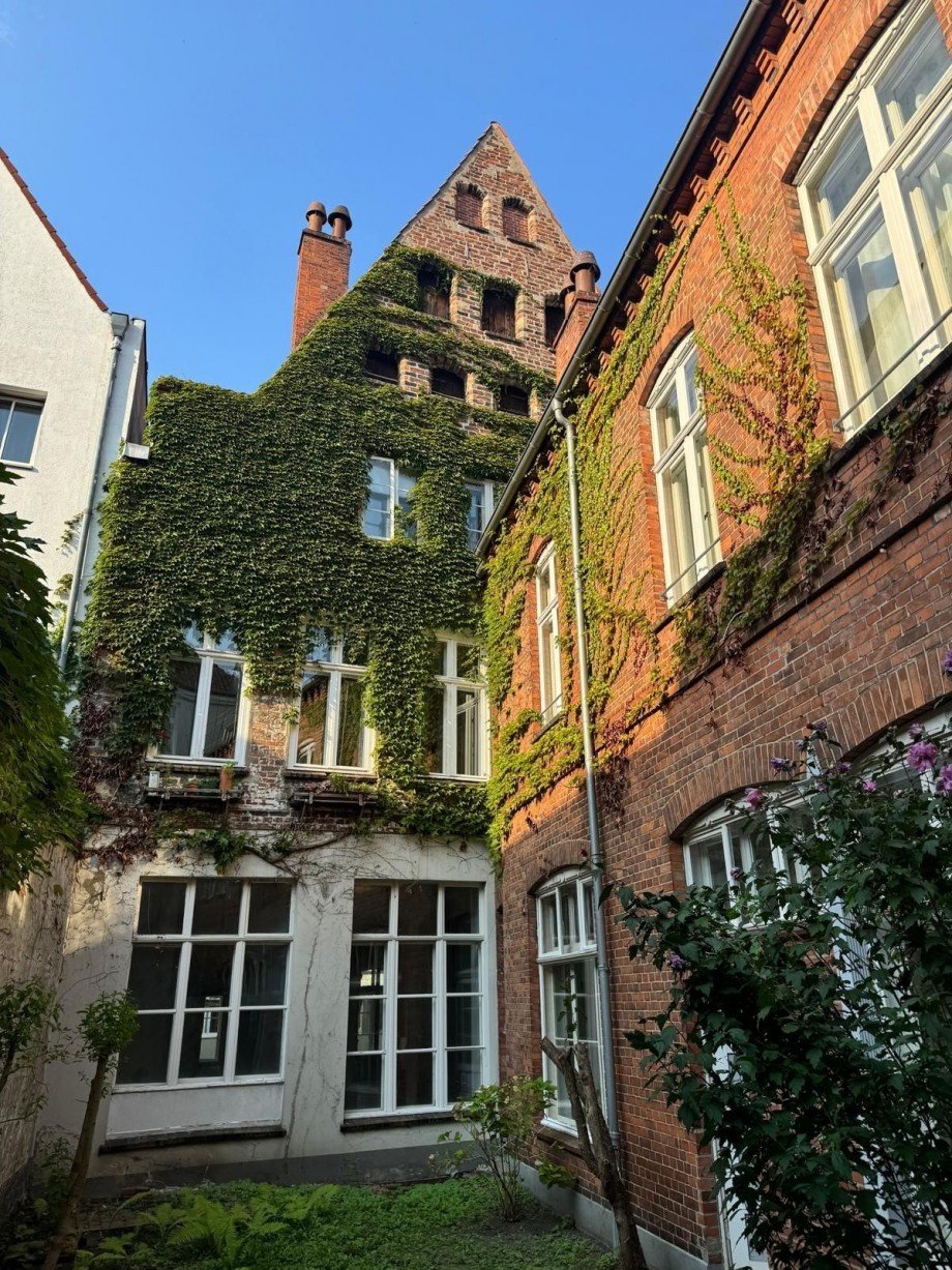 R�ckseite Haus neu Haus L�beck / Innenstadt